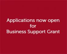 Coronavirus Business Support Grant